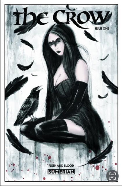 The Crow Flesh & Blood | Dale Altmann | Trade + Virgin | ATL COMICS & CARDS EXCL