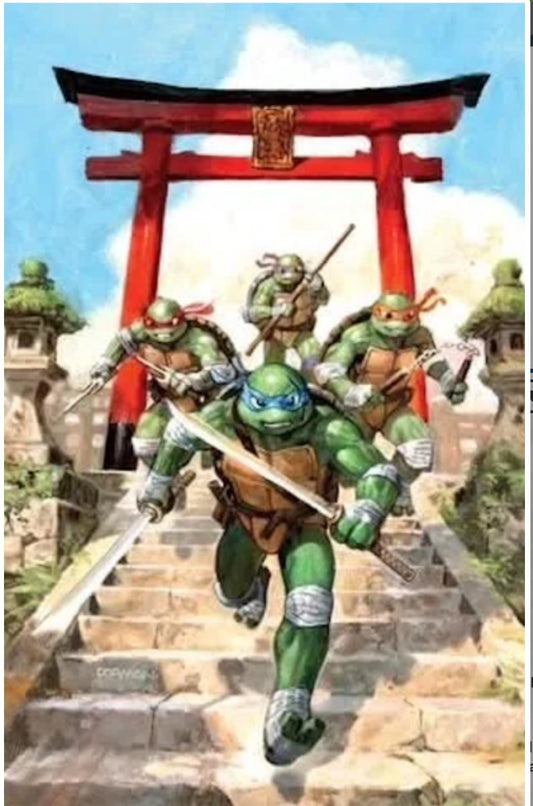 Teenage Mutant Ninja Turtles #20 | Dave Dorman SDCC Virgin Exclusive