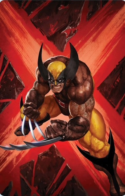 X-Men United #1 | Cover by Skan | Trade LTD 3k | Virgin LTD 1K